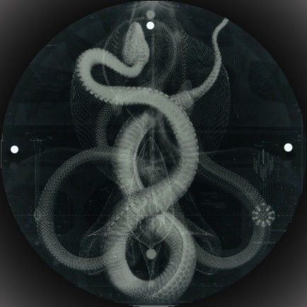 Serpent Spine